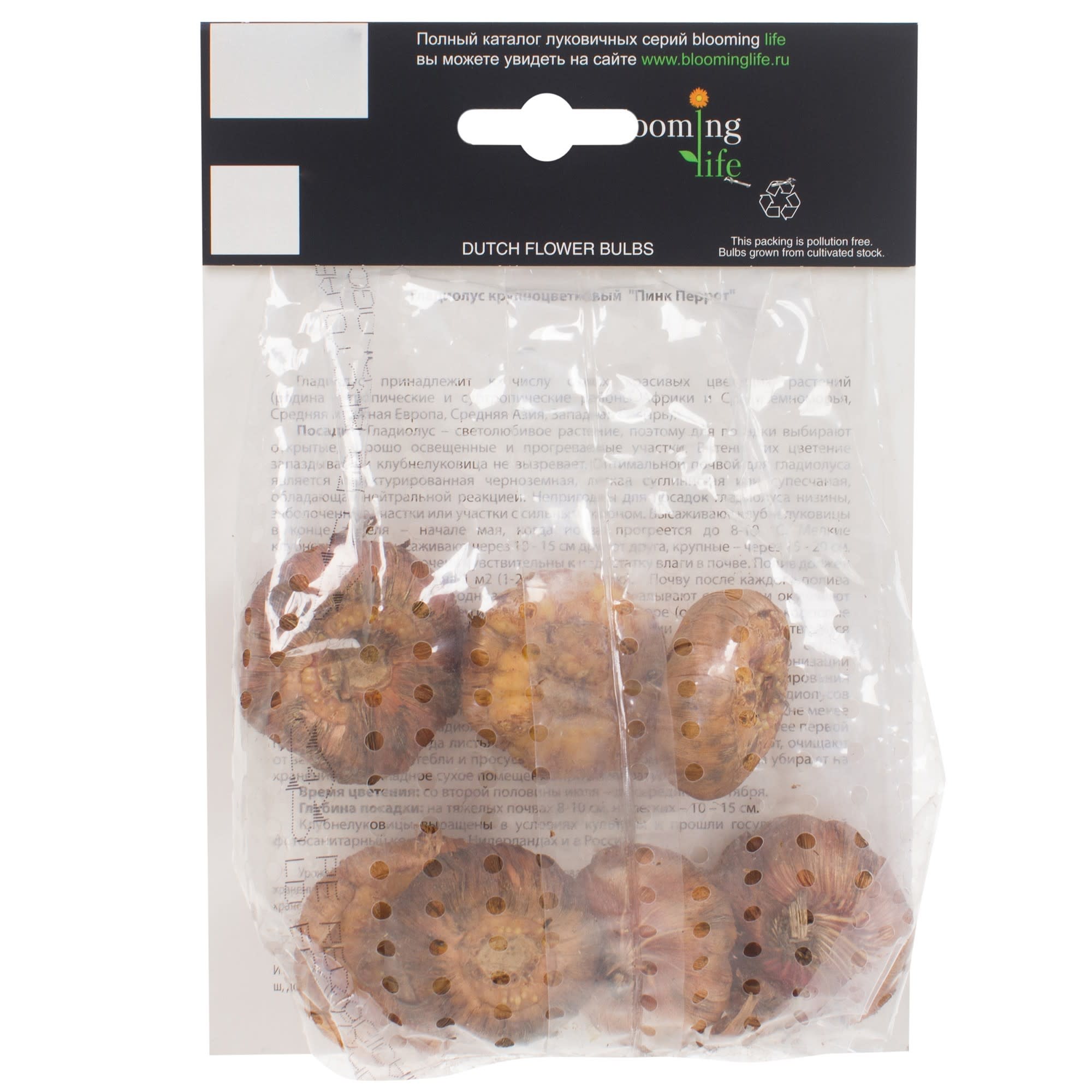 13913677 Гладиолус Крупноцветковый Пинк Пэррот (12/14) Santreyd  - Вид №1