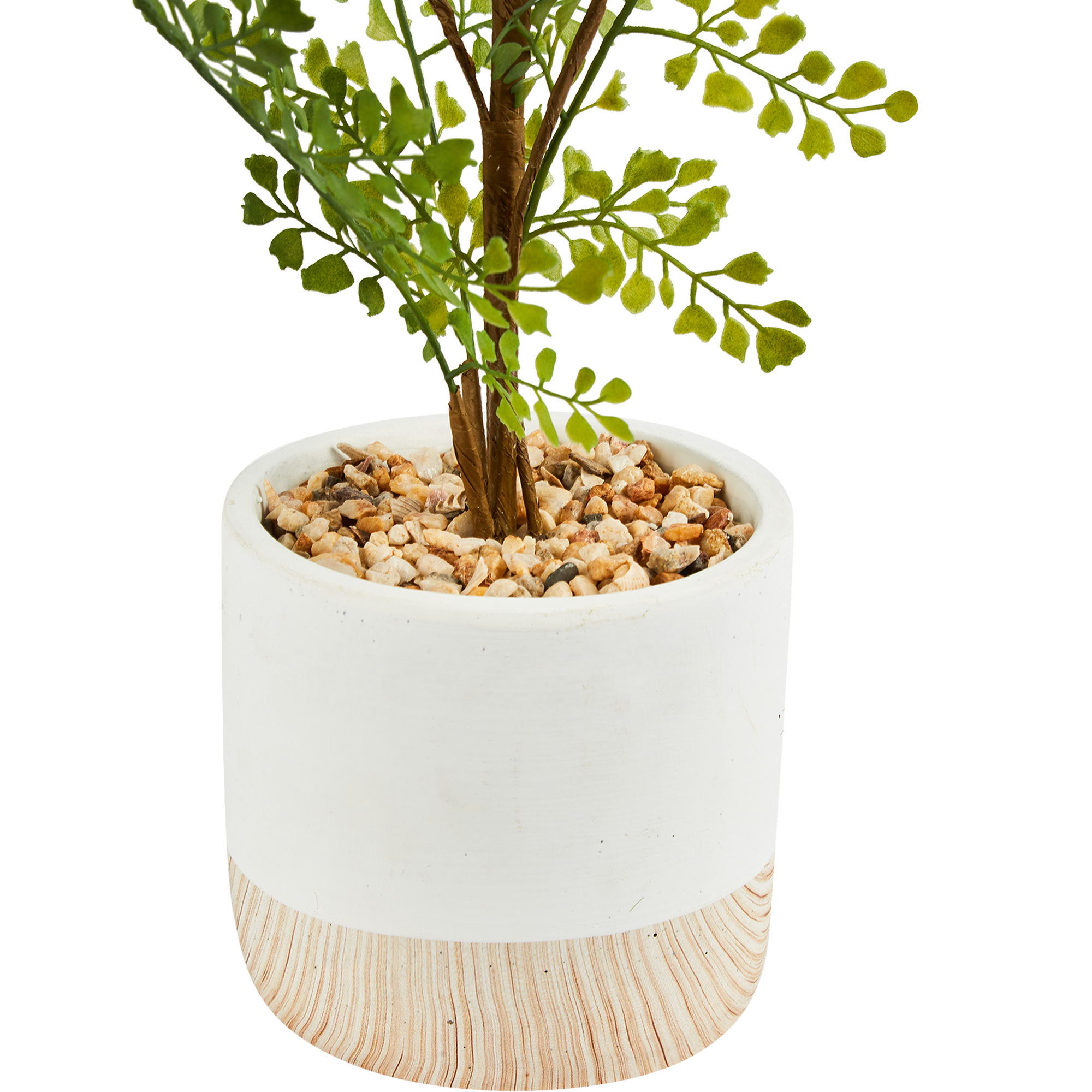 87681876 Искусственное растение Фикус 71x14 см пластик STLM-0074886 Santreyd  - Вид №2