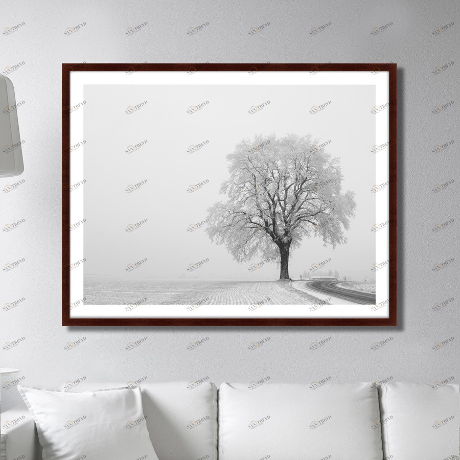 Фотокартина в деревянной раме 130х102 см The White kingdom КАРТИНЫ В КВАРТИРУ  264757 Белый;черный;разноцветный 