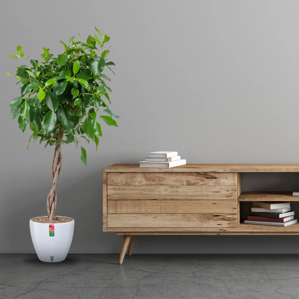 Santreyd Деко Твин — элегантный цветочный горшок для стильного интерьера 83406597 STLM-0041019 - Вид №2