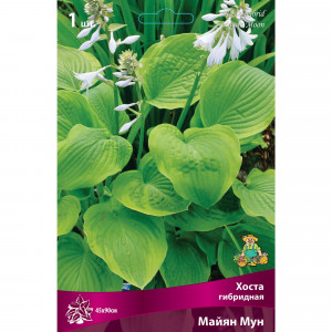 88294692 Хоста гибридная Майян мун луковица I
