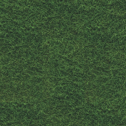 Пробка CorkStyle Fantasy Green (Гладкая) 915х305 мм 1001400110 - Вид №1