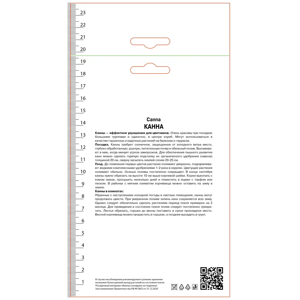 Канна карликовая Перкео ПОИСК STLM-2068901