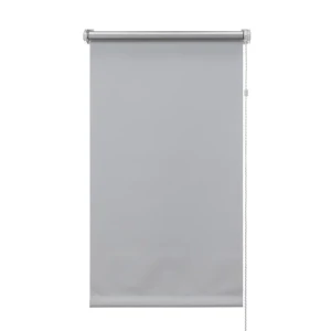 Рулонная штора ЭСКАР Silverback 60×160 см для современного интерьера 89354630