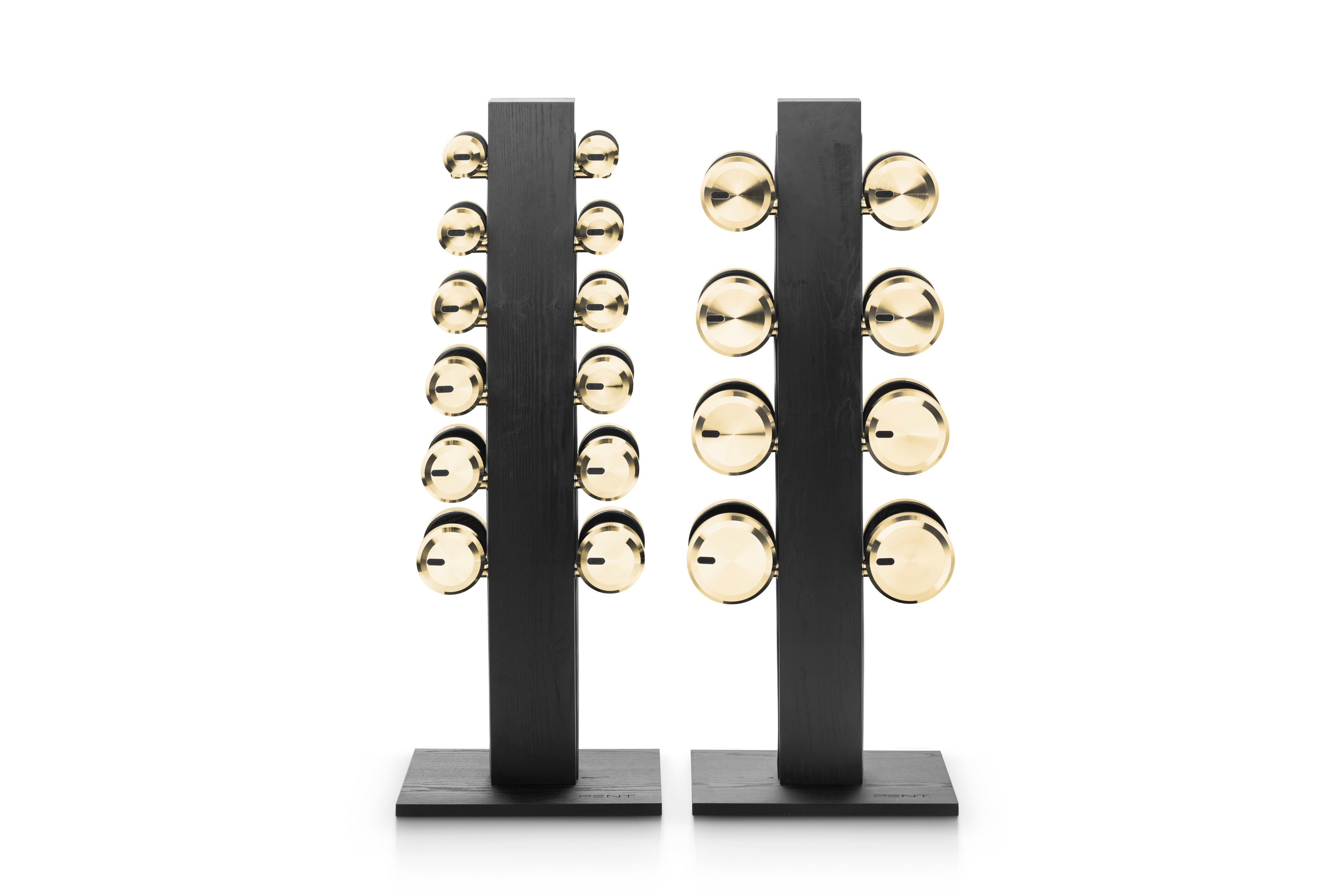 Набор гантелей из нержавеющей стали и дерева PENT Colmia ARCH-00071317 - Вид №5