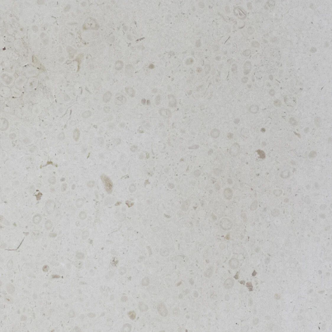 Индивидуальный мраморный отдельно стоящий умывальник COCOON John Pawson ARCH-00043475 - Вид №16