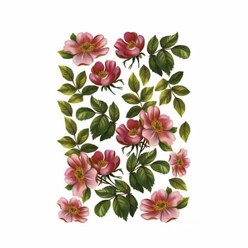 153thermo Термопластик для моделирования с печатью "Шиповник" Freedecor 