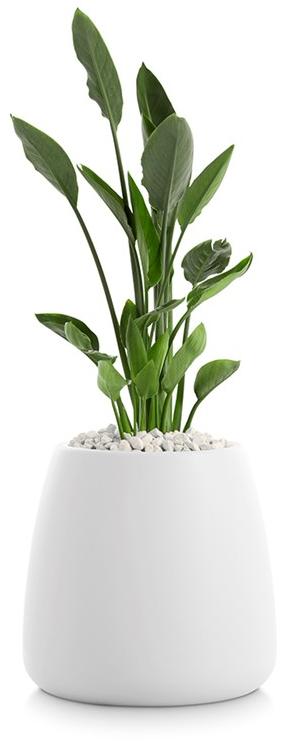 Diabla Пластиковый садовый горшок Gobi sun-id-1365765 - Вид №5