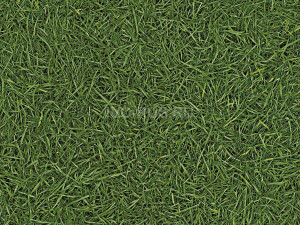 Линолеум бытовой SMART NEO - СМАРТ НЕО i457835