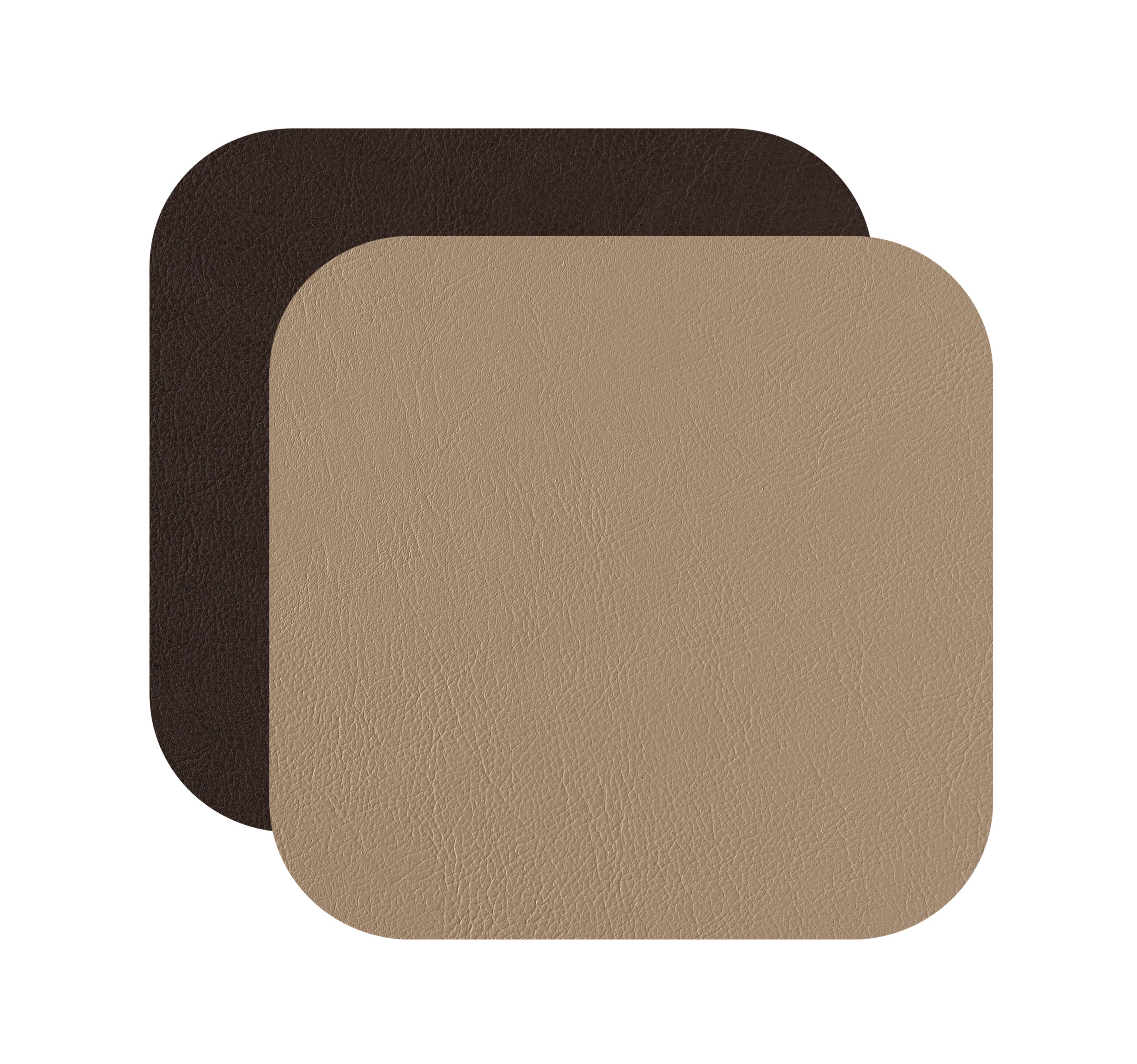 Кожаный питомник ADJ Cat &amp ARCH-00096836 - Вид №4