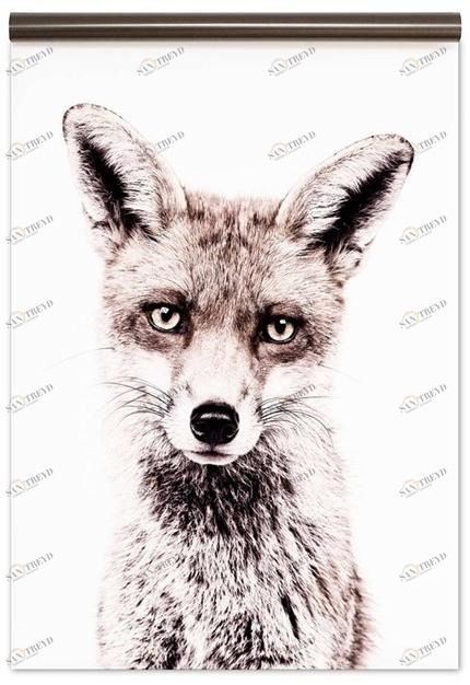 Groovy Magnets Магнитные обои Animal Mbp-62-f