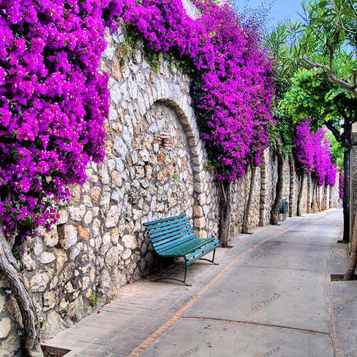 C2-147 Фотообои DIVINO Collection C 2.7х3 м C2147