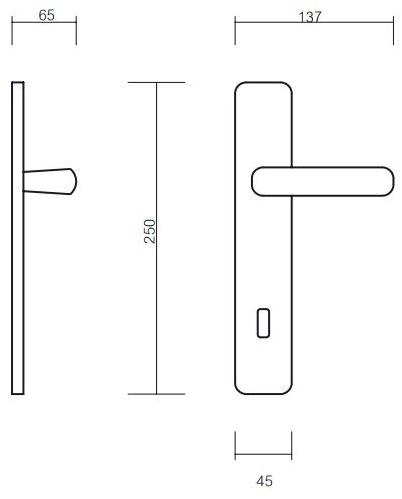 Pasini Ручка из латуни на пластине с накладкой Gamma 3100 - Вид №1