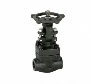GENEBRE 2232n 06 Gate valve class 800 (2232S-S.W. ends)