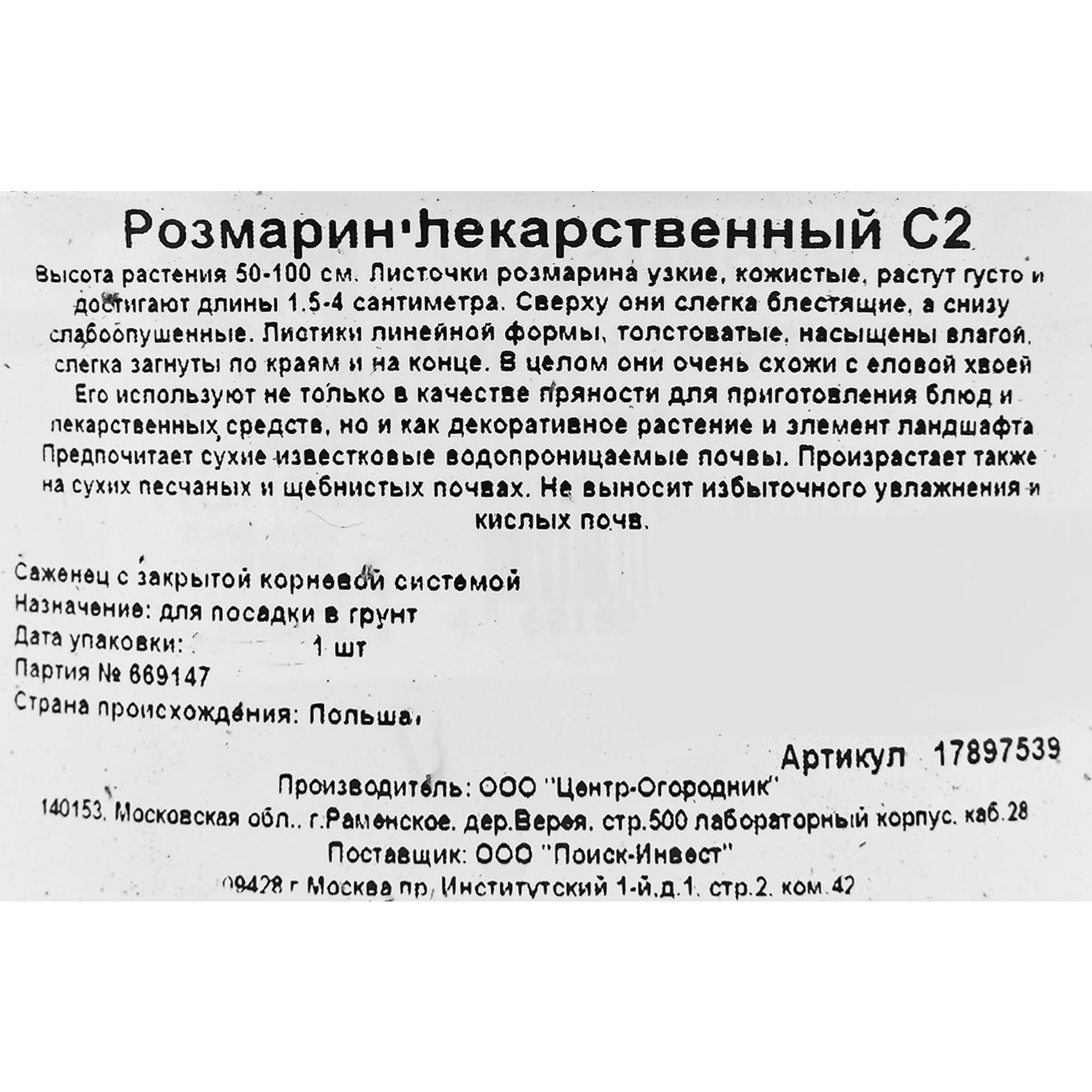 17897539 Розмарин лекарственный в сортах (V1.5л) Santreyd  - Вид №1