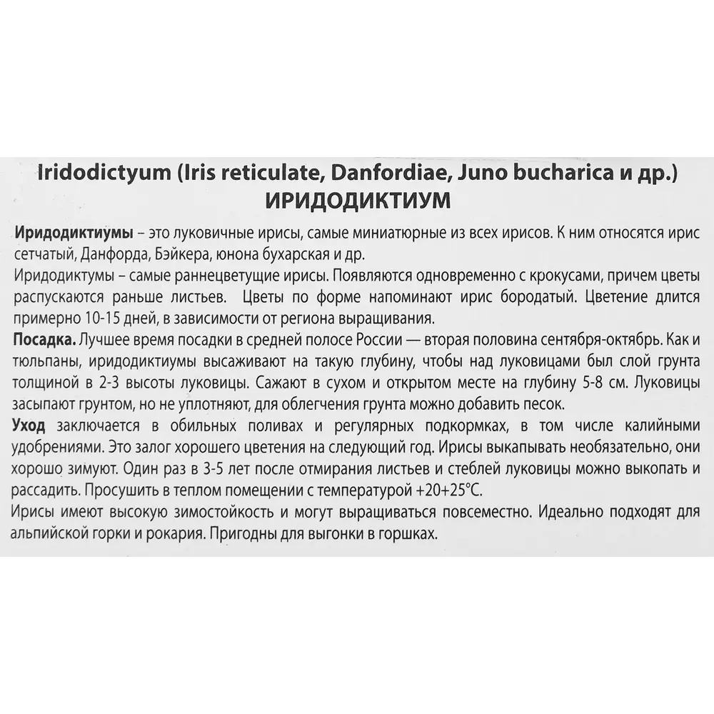 ПОИСК Ирис сетчатый микс - 10 луковиц для весеннего сада 88659085 STLM-1565284 - Вид №2
