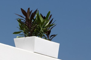 Низкий прямоугольный садовый горшок из полиэтилена