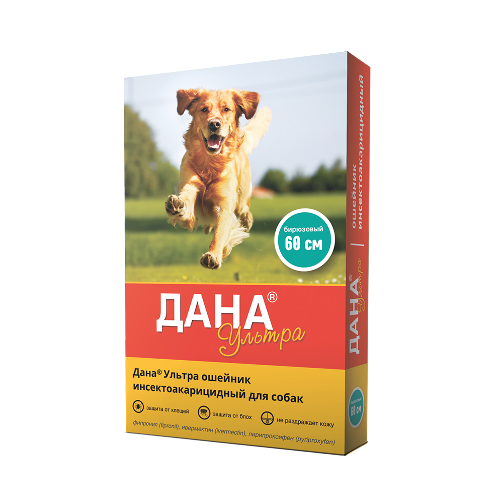 ПР0058968 Ошейник для собак Дана Ультра бирюзовый 60см Apicenna 