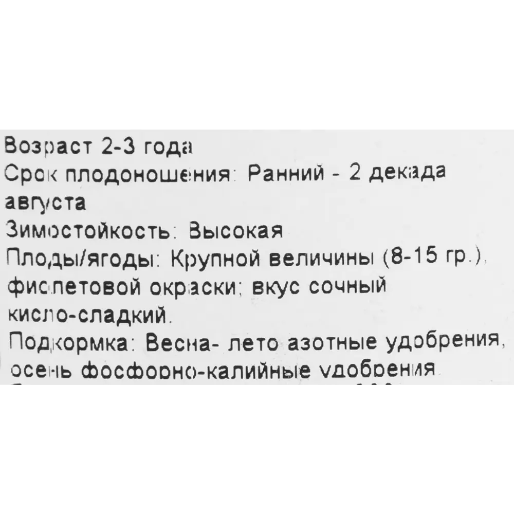 Виноград плодовый «Ливия» 19x55 см PLANTMARKET STLM-2150492 - Вид №1