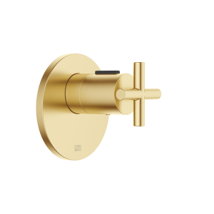 TARA xTOOL Скрытый термостат без регулятора громкости 3/4" - матовая дюралюминий (23-каратное золото)