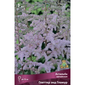 Астильба китайская Глиттер Энд Гламур 85205491 STLM-2121437