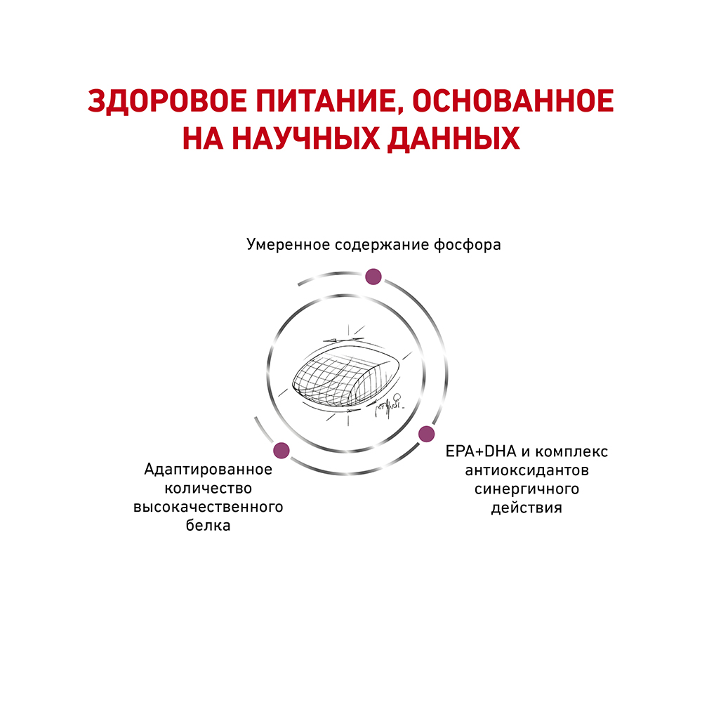 ПР0056148 Корм для собак Vet Diet Early Renal при ранней стадии почечной недостаточности сух. 2кг ROYAL CANIN  - Вид №3