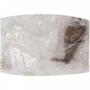 83760967 Георгина Арабиан Найт луковица II