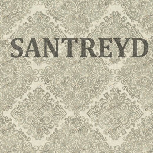 959437 Обои Rasch Maximum XV