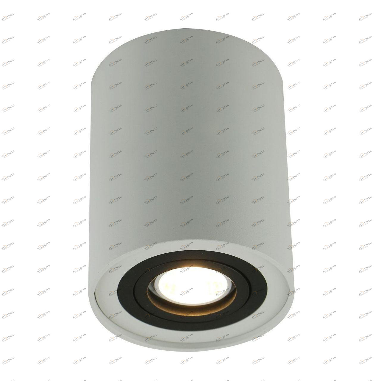 Потолочный светильник Arte Lamp A5644PL-1WH ARTE LAMP 5644 201305 Белый 