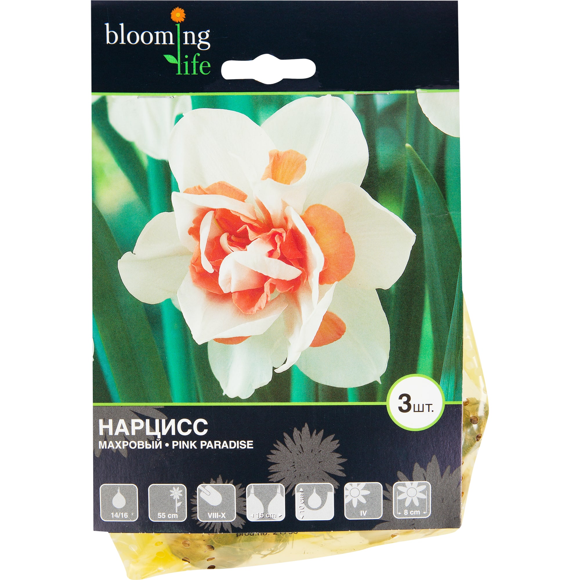 16396011 Нарцисс «Пинк Передайс», 14х16 см Santreyd 