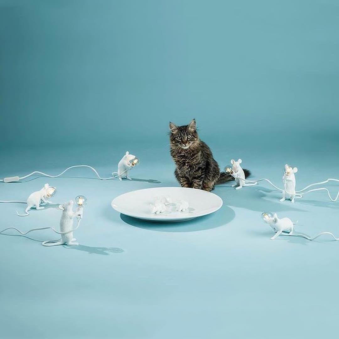 Seletti 14886 lying down MOUSE лампа настольная мышь с лампочкой 112069 - Вид №3