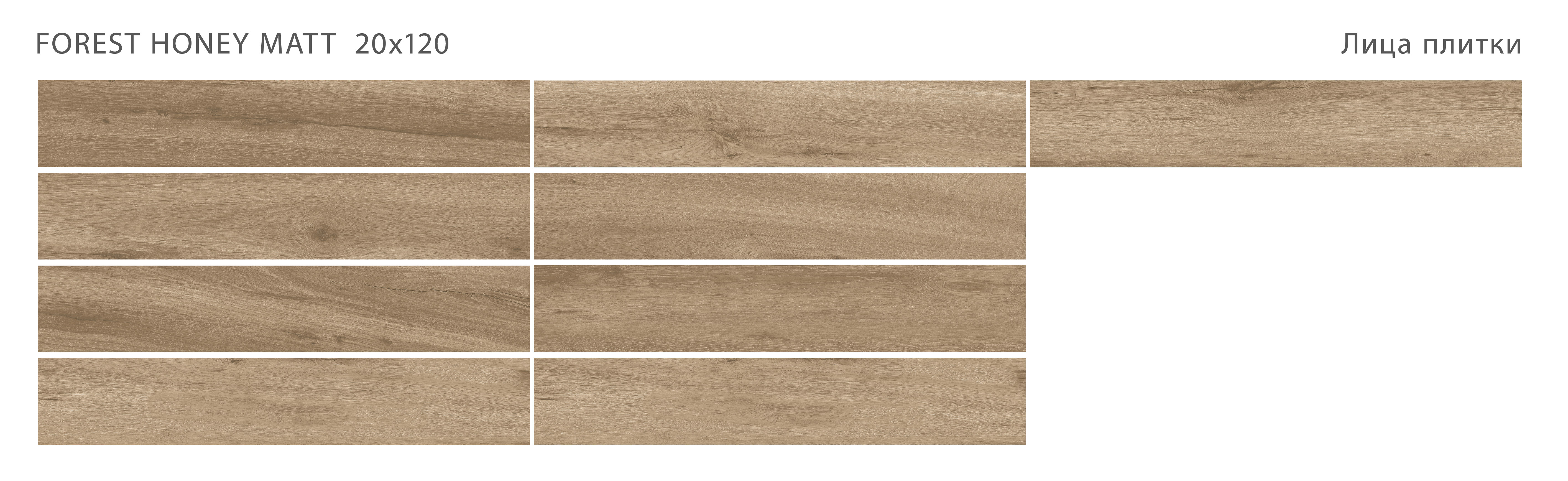 STAROWOOD Forest – Элегантность натурального дерева STP-ST216 INCOLOR - Вид №1