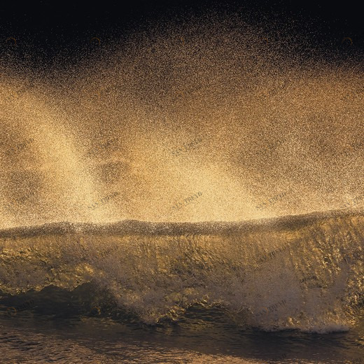 SH006-VD1-Golden-Wave Фотообои Komar Stefan Hefele 1х2 м SH006VD1GOLDENWAVE