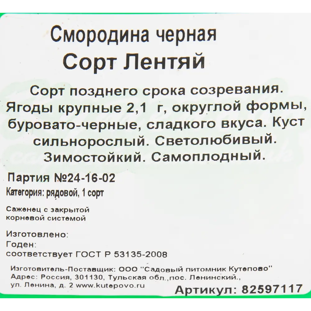 Смородина чёрная «Лентяй» C2 высота 40 см 82597117 STLM-2163278 Santreyd  - Вид №1