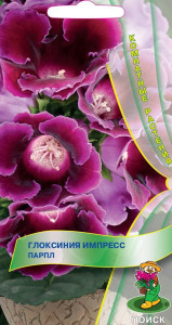 Santreyd Глоксиния Импресс Парпл - семена пурпурного цветения 86218052