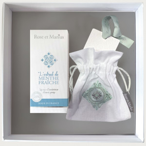 CAR-MF Набор спрей парфюмированный 100 мл , диффузор керамический, подарочная коробка Rose&Marius