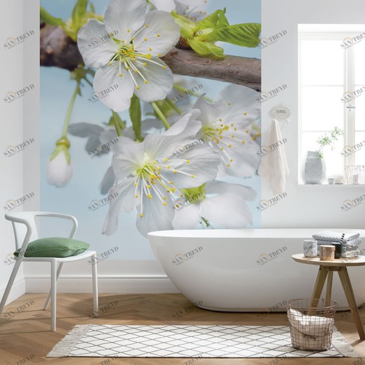 XXL2-033-Blossom Фотообои Komar Imagine Edition 2 2.48х1.84 м XXL2033BLOSSOM