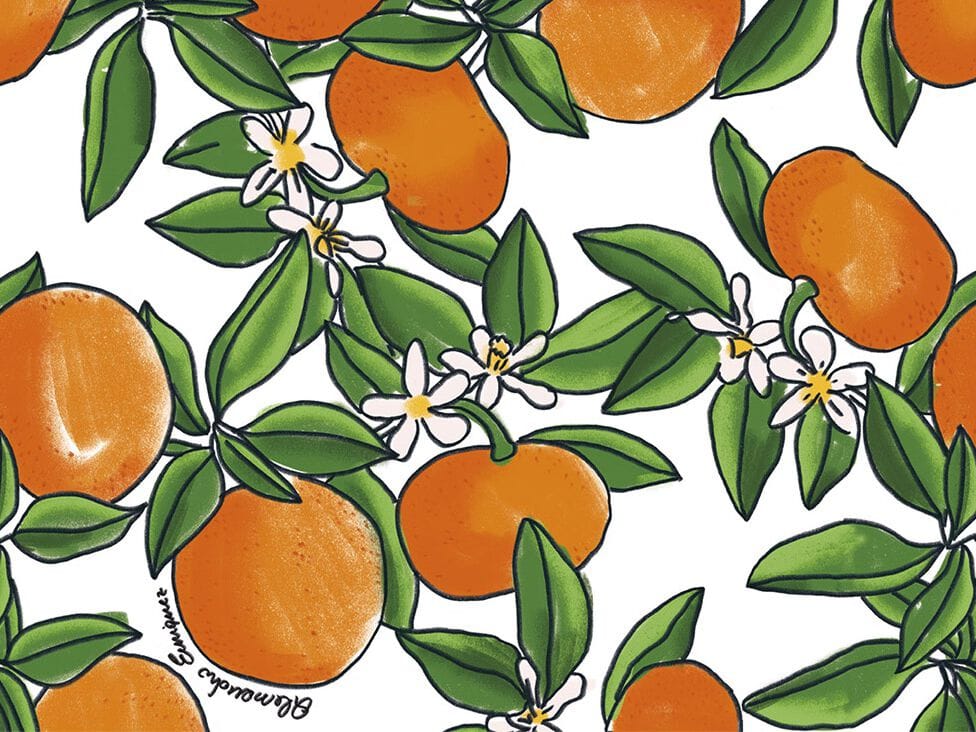 Нетканые обои Jannelli&Volpi ENRIQUEZLAND ARCH-00032356 - Вид №1