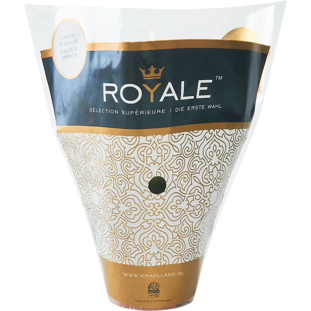 Santreyd Каланхоэ Блоссфельда - цветущий суккулент с глянцевой листвой 86720739 STLM-0070954 - Вид №1