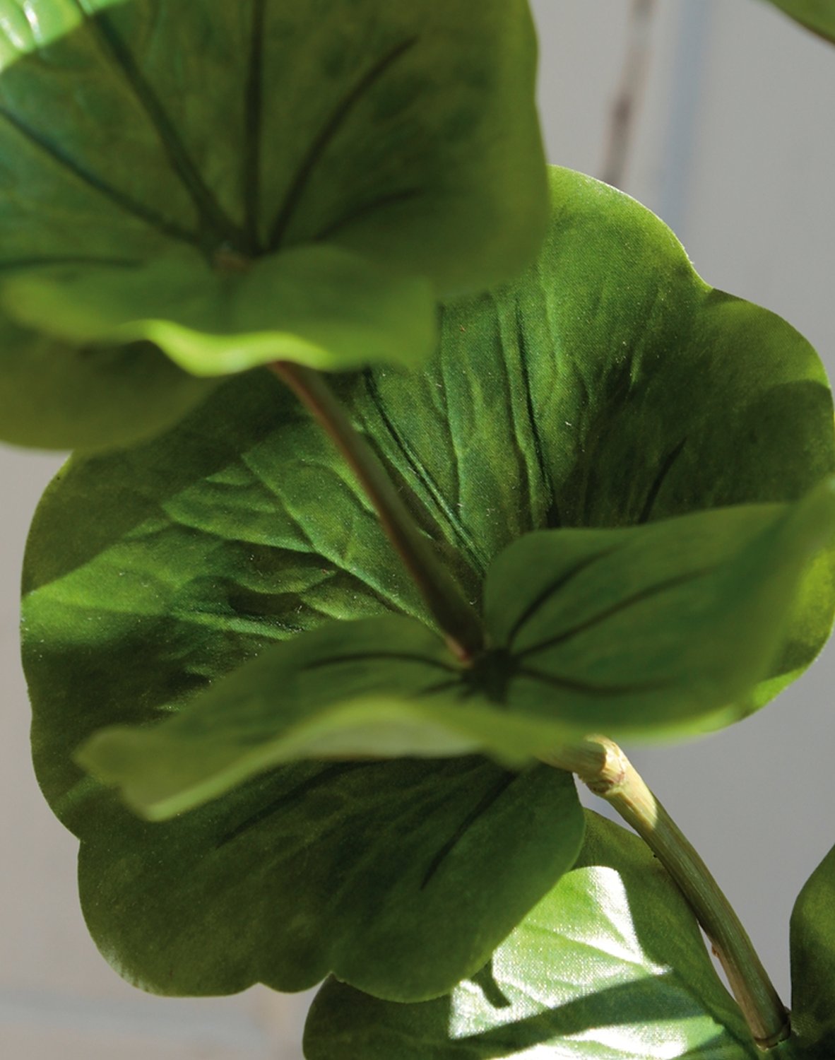 5389 883 a3 Искусственный эвкалиптовый спрей, 71 см, зеленый H-andreas 