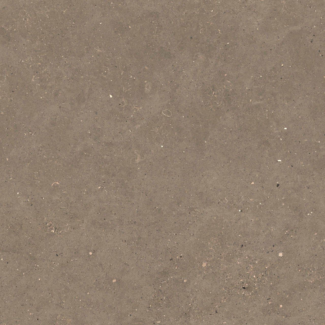 Пол / облицовка керамогранита с эффектом камня Fiandre сплошная ARCH-00006905 - Вид №10