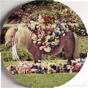 8008215169217 Тарелка pony Seletti