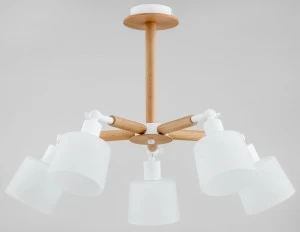 Потолочная люстра Alfa Bushwick 27005 ALFA BUSHWICK 313549 Белый