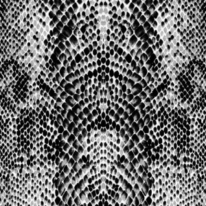 D1-101 Фотообои DIVINO Collection D 2.7х3 м