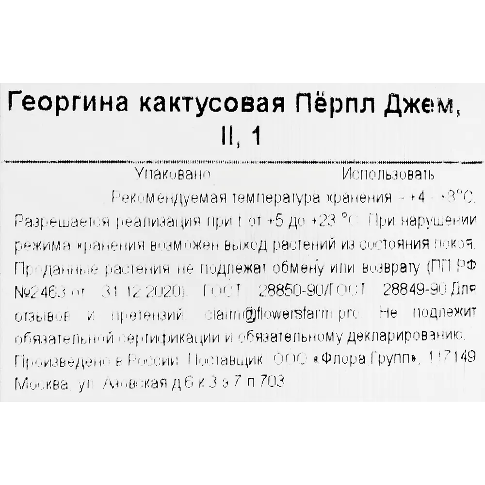 Георгина кактусовая Перпл Джем 86735807 STLM-2154470 Santreyd  - Вид №2