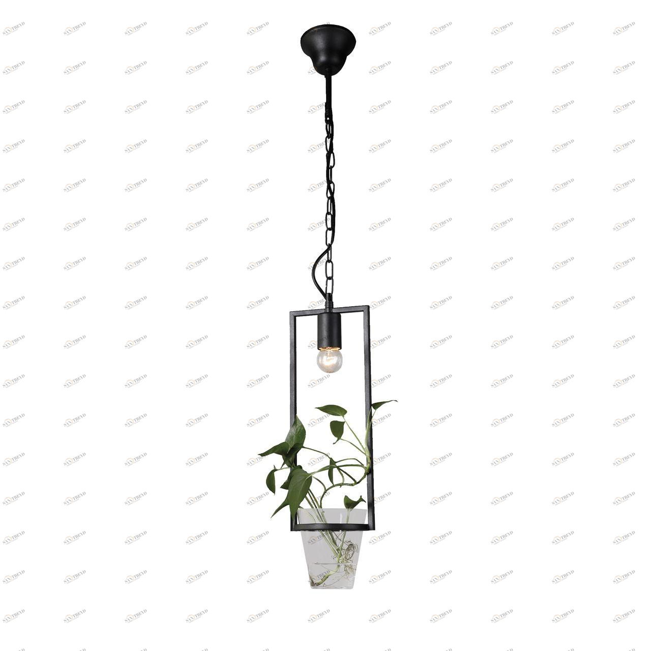 Подвесной светильник Favourite Situla 1976-1P FAVOURITE SITULA 102794 Черный 