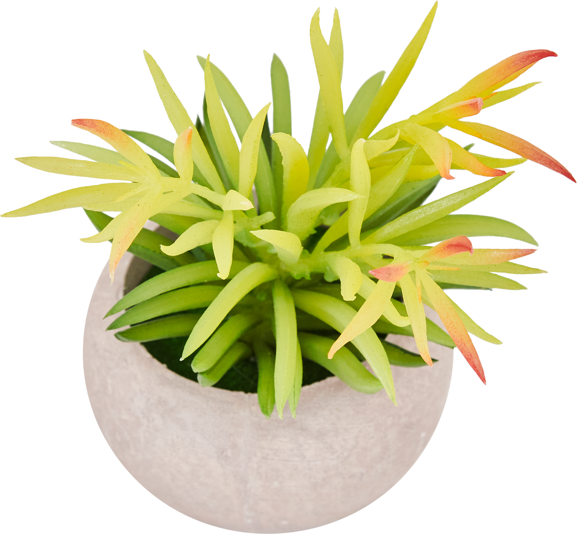 85826021 Искусственное растение Бильбергия h17 см STLM-0065543 Santreyd 