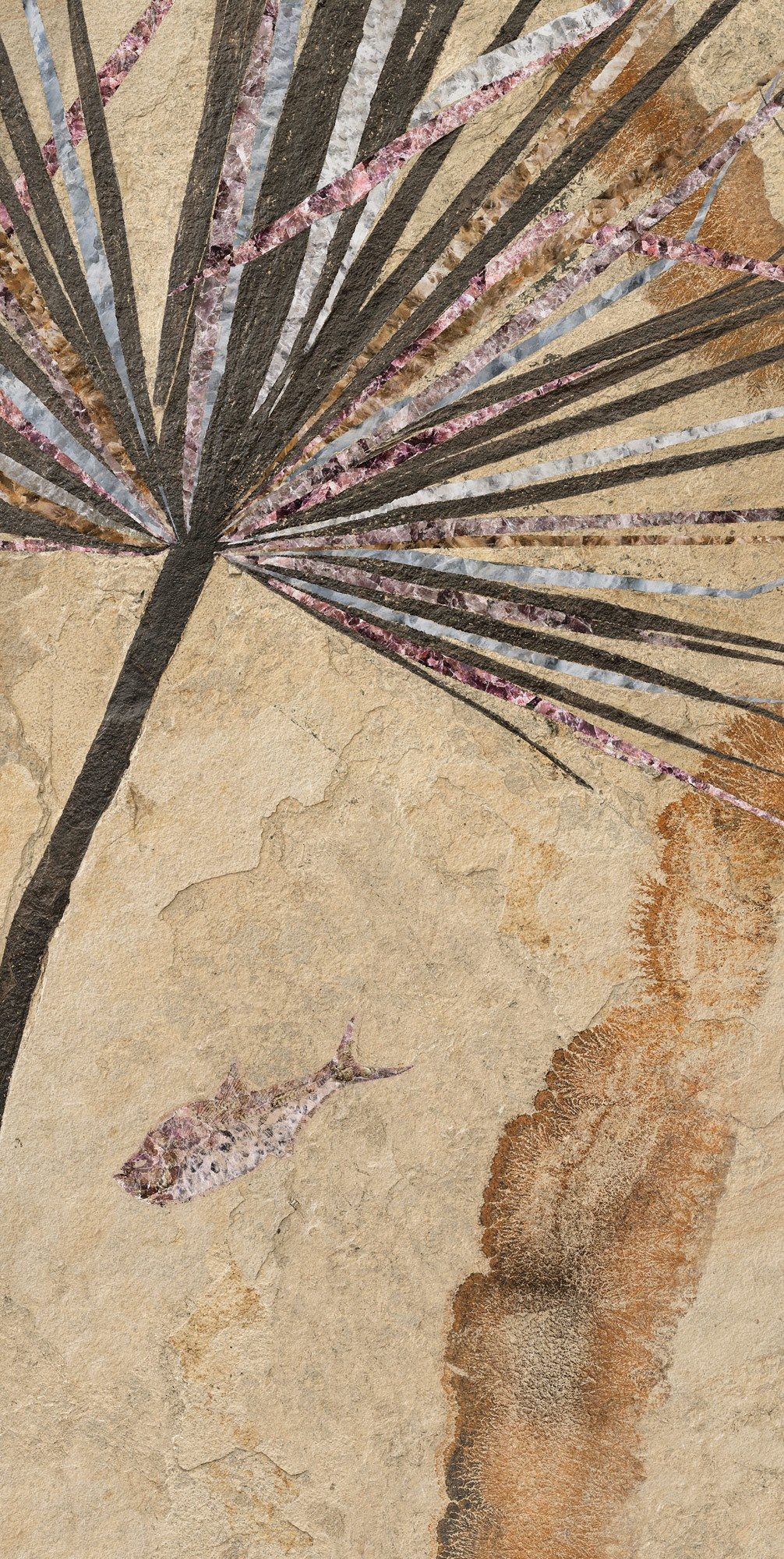 Декоративная панель из алюминия, стекла или ПММА Tecnografica окаменелости ARCH-00063897 - Вид №2