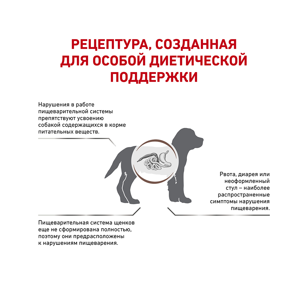 УТ0005728 Корм для щенков Vet Diet Gastro Intestinal Junior GIJ29 при наруш. пищеварения, птица сух. 2,5кг ROYAL CANIN  - Вид №2