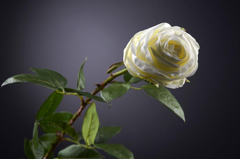 VGnewtrend Искусственное растение из полиэстера  1001654.95  - Вид №1